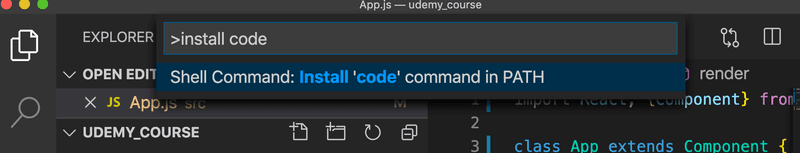 VSCode Executable path