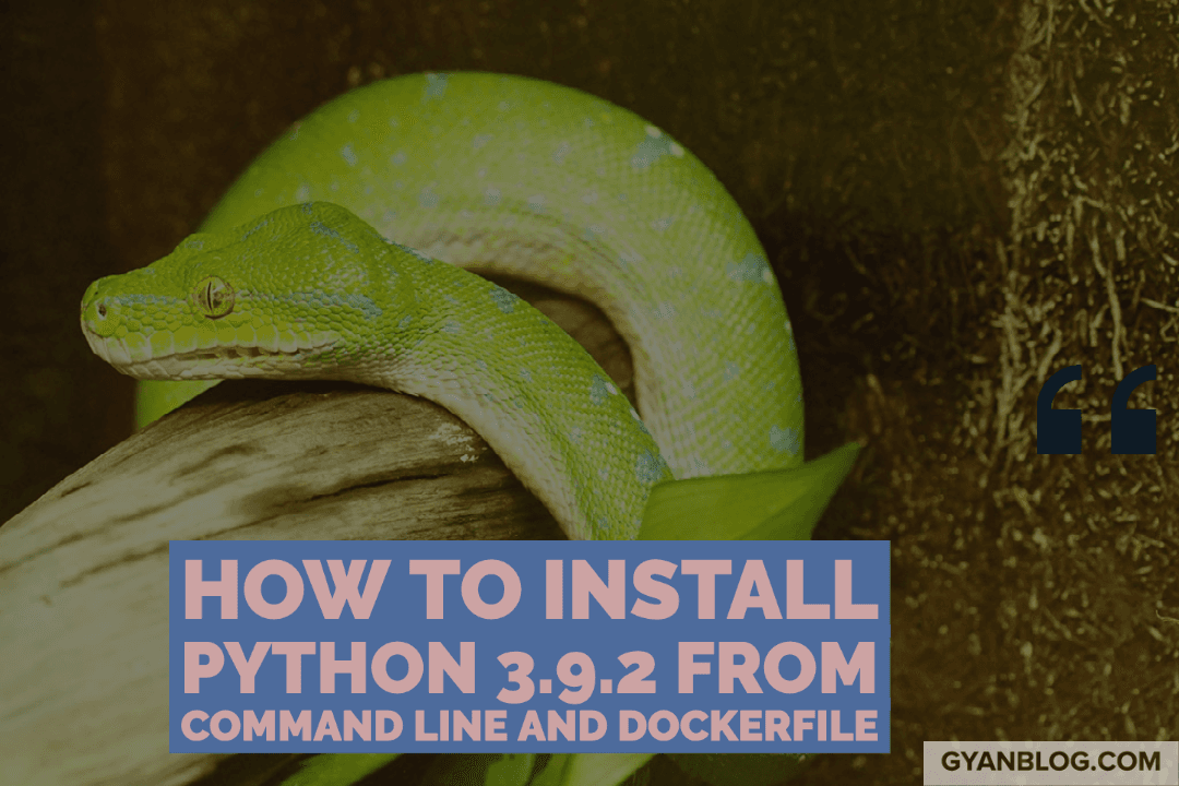 How to Install Python from command line and Docker on Linux